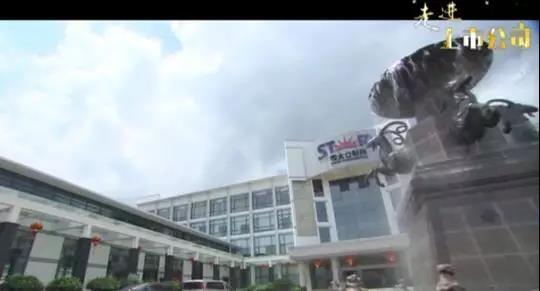 【合作伙伴】司太立 上市點燃創新之路